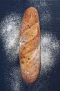 The bread with bean flour on the grey surface.The loaf on the stone plate,top view. Royalty Free Stock Photo