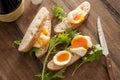 Bread with boiled eggs and salad Royalty Free Stock Photo