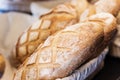 Bread - Bolillo