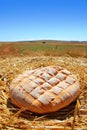 Bread bun round on golden wheat straw