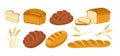 Bread cartoon icon set bakery ears wheat vector Royalty Free Stock Photo