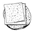 Bread and cheese illustration in sketch style. vector drawing of a round bread sandwich with square slices on top, cheese and ham