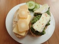 bread and cheese sandwich with vegetable