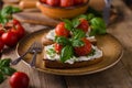 Bread cheese spread baked tomato Royalty Free Stock Photo