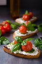Bread cheese spread baked tomato Royalty Free Stock Photo
