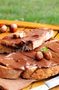 Bread with chocolate cream and hazelnuts outdoor vertical compos Royalty Free Stock Photo