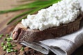 Bread With Cottage Cheese Royalty Free Stock Photo