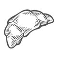 Bread croissant vector hand drawn illustration. Other types of wheat, flour bread