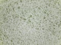 Bread crumb texture to use Royalty Free Stock Photo