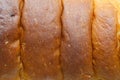 Bread crust texture Royalty Free Stock Photo