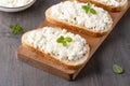 Bread with curd cheese on grey wooden table Royalty Free Stock Photo