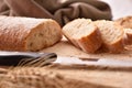 Bread cut into slices on cutting board close up Royalty Free Stock Photo