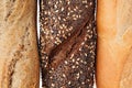 Bread of different varieties view from above. Rye, wheat and whole grain bread. Macro. Texture. Royalty Free Stock Photo