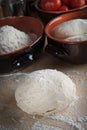 Bread dough, pizza dough