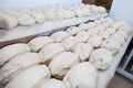 Bread dought pieces before fermentation Royalty Free Stock Photo