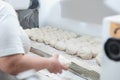 Bread dought pieces before fermentation Royalty Free Stock Photo