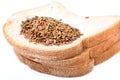 Bread and flex seeds Royalty Free Stock Photo