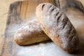 Bread with flour Royalty Free Stock Photo