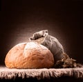 Bread, flour sack and ears bunch still life Royalty Free Stock Photo