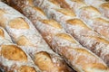 Bread-French baguettes Royalty Free Stock Photo