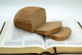 Bread of Life Royalty Free Stock Photo