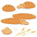 Loafs of bread and sliced bread. Vector Illustration