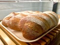 Bread Loafs in tray. Scoring Bread. Royalty Free Stock Photo
