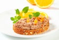 Bread with meat spread Royalty Free Stock Photo