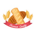 Bread premium quality wheat nutrition food