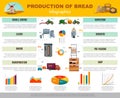 Bread Production Infographics