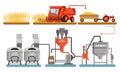 Bread Production Process, Harvesting, Washing, Flour Grinding, Dough Kneadling Automated Line Vector Illustration