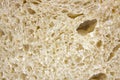 Bread pulp texture. Bread background. Macro texture