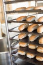 Bread rolls on trays of shelf Royalty Free Stock Photo