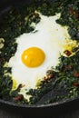 Fried egg and spinach Royalty Free Stock Photo