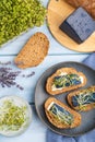 Bread sandwiches with blue lavender cheese and mustard microgreen on blue, top view, close up Royalty Free Stock Photo