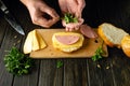 Bread sausage and cheese on a kitchen board for making sandwiches. The cook prepares a quick meal with sandwich and parsley Royalty Free Stock Photo
