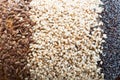 Bread seeds close up Royalty Free Stock Photo