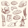 Bread sketch. Flour mill baguette french bake bun food wheat traditional bakery basket grain pastry toast slice set