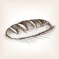 Bread sketch style vector illustration