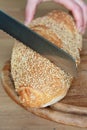 Bread slashed Royalty Free Stock Photo