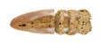 Bread sliced look on top, solated on white background with clipping path. Top view