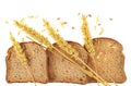 Bread slices composition Royalty Free Stock Photo