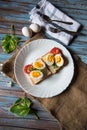 Bread slices with condiments of egg and vegetables Royalty Free Stock Photo