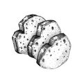 Bread slices for sandwiches or canape vintage drawings. Vector backing goods sketch in engraved style. Hand-drawn pastry food