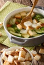 Bread soup with summer vegetables close-up in a bowl. vertical Royalty Free Stock Photo