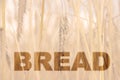 Bread, the text is written on the background of a field of wheat with ears. The concept of reduced production, shortage of cereals Royalty Free Stock Photo