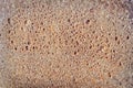 Bread texture close up. Close up sliced bread for texture Royalty Free Stock Photo