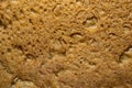 Bread texture closeup