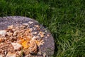 Bread thrown in the trash, waste of bread, stale piece of bread Royalty Free Stock Photo