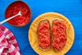 Bread toasted slices with grated tomato